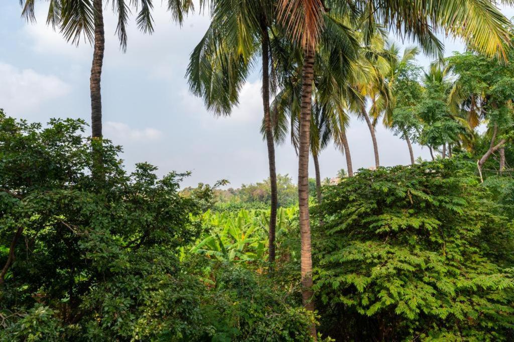 Saptami Hampi Homestay エクステリア 写真