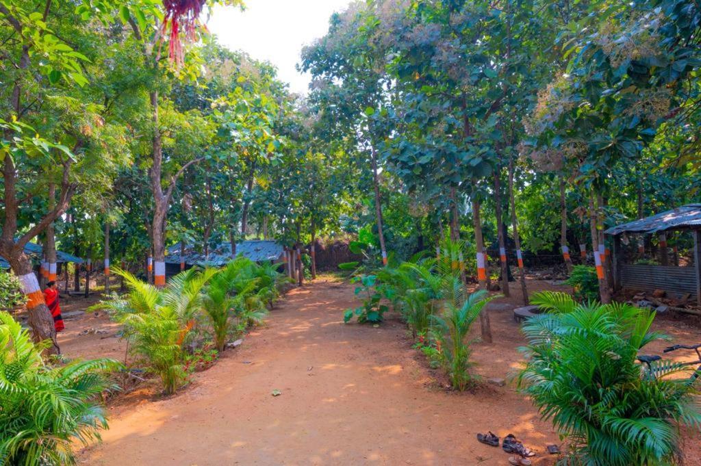 Saptami Hampi Homestay エクステリア 写真