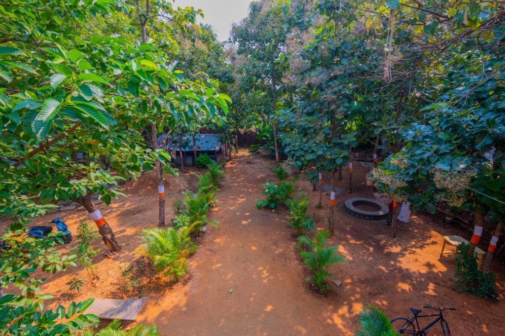 Saptami Hampi Homestay エクステリア 写真