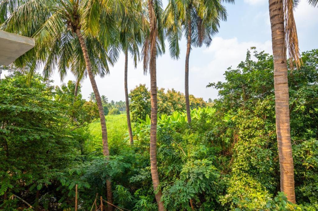 Saptami Hampi Homestay エクステリア 写真
